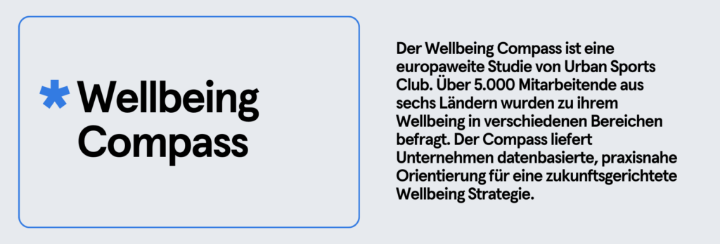 Infobox: Was ist der Wellbeing Compass?